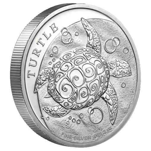 24nzht2o-2024-hawksbill-turtle-2