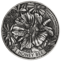 24R55AAA-2024-honey-bee-2-kilo-s