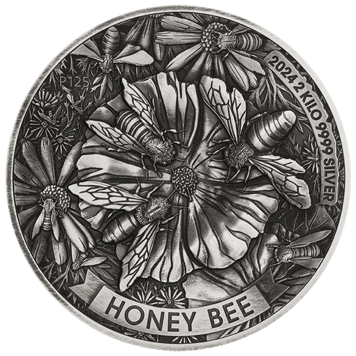 24r55aaa-2024-honey-bee-2-kilo-s