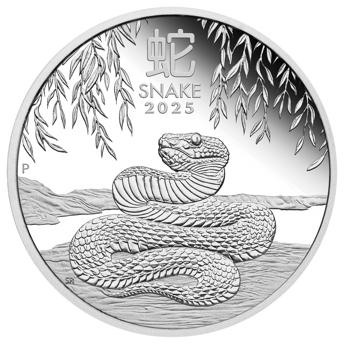 2025 year of the snake trio 1oz silver proof - image 4
