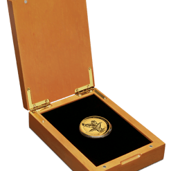 2023 australian wedge-tailed eagle 1oz gold incused coin