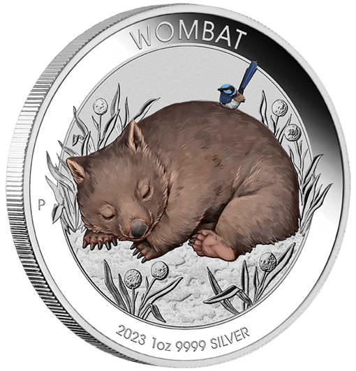 23n12bad-2023-australian-wombat-