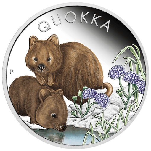 2023 australian quokka 1oz silver proof coloured coin