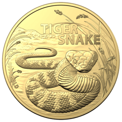 2024 Australia’s Most Dangerous – Tiger Snake 1oz .9999 Gold Bullion Coin