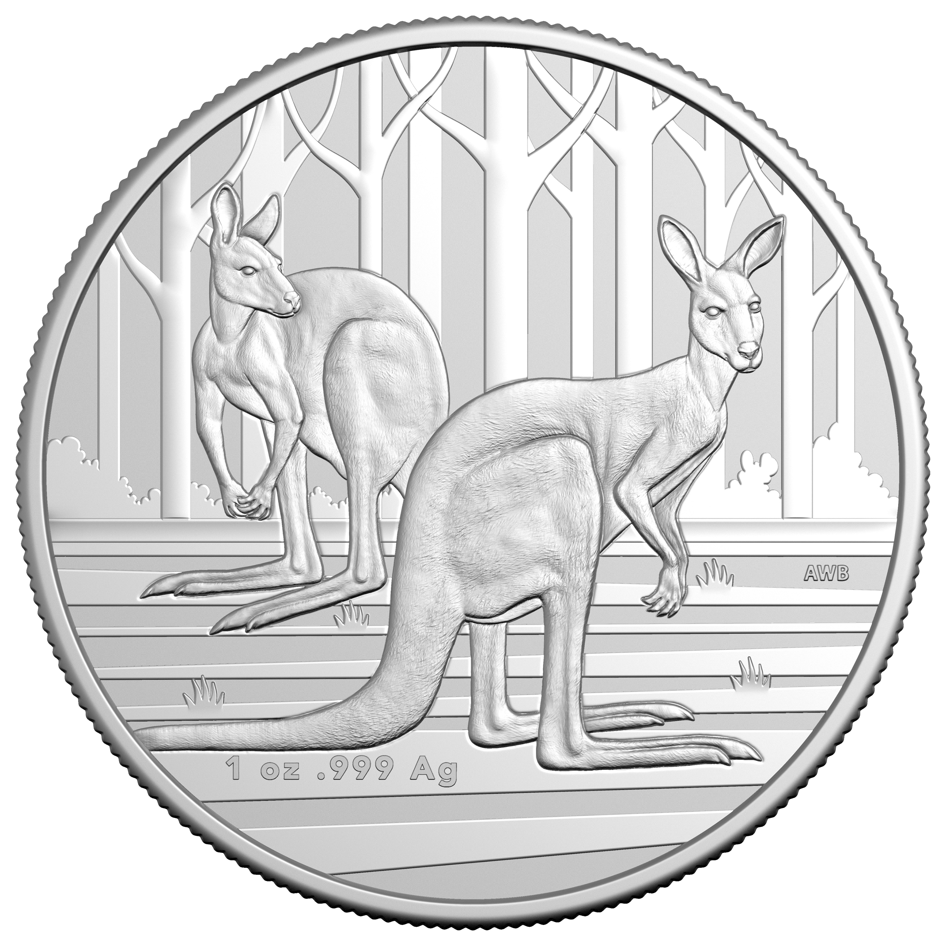 11684 2024-kangaroo-1oz-silver-coin