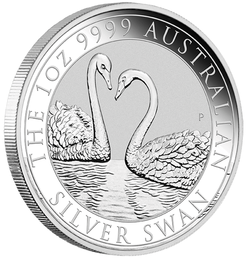 22028daax-2022-australian-swan-1