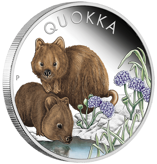 2023 australian quokka 1oz silver proof coloured coin