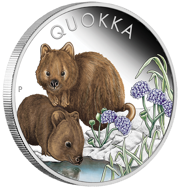 23q63aaa-2023-australian-quokka-