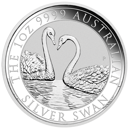 22028daax-2022-australian-swan-1