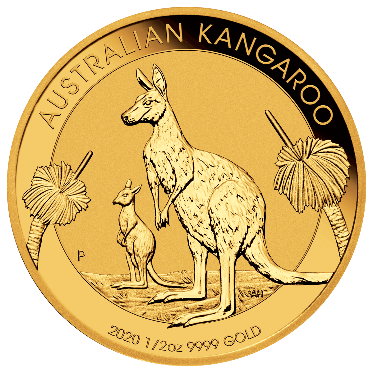 2020 australian kangaroo 1/2oz gold coin