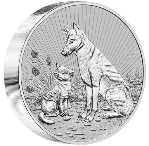 2022 mother & baby dingo 2oz. 9999 silver bullion piedfort coin in pm plastic flip