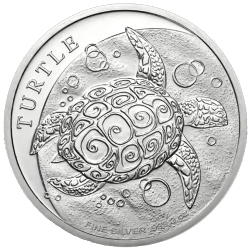 24nzht2o-2024-hawksbill-turtle-2