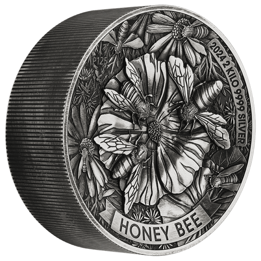 24r55aaa-2024-honey-bee-2-kilo-s