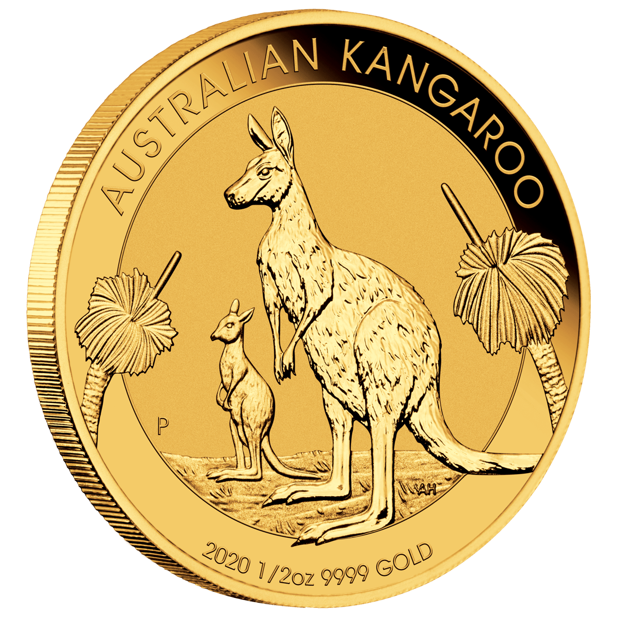 2020 australian kangaroo 1/2oz gold coin - image 2