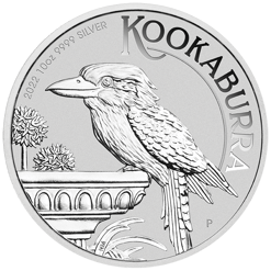 22022BAAX-2022-australian-kookab