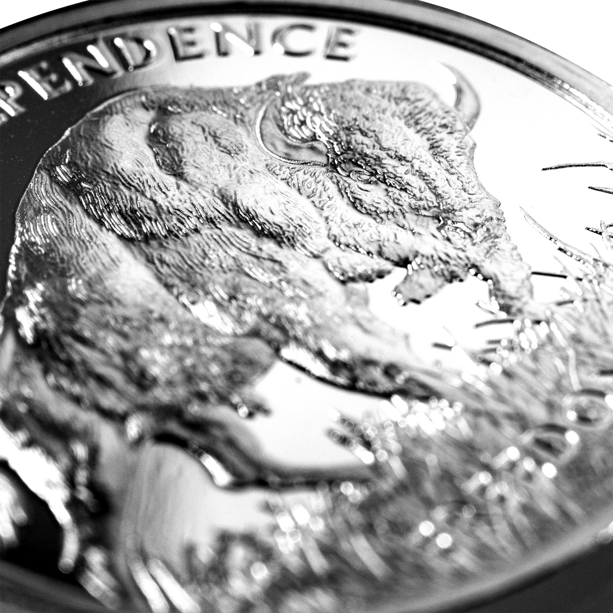 Smtb1buffalornd-pamp-american-buffalo-1oz-silver-round