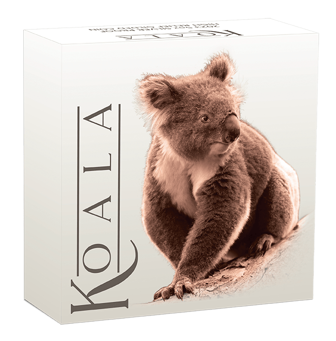 23327kaaa-2023-australian-koala-