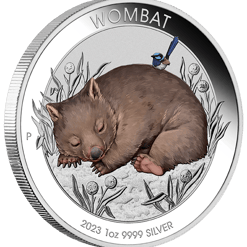 2023 australian wombat 1oz silver coloured coin in card