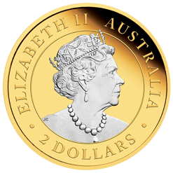 2022 australian kangaroo 2oz. 9999 silver reverse gilded coin