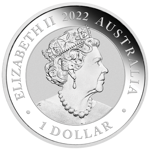 22028daax-2022-australian-swan-1