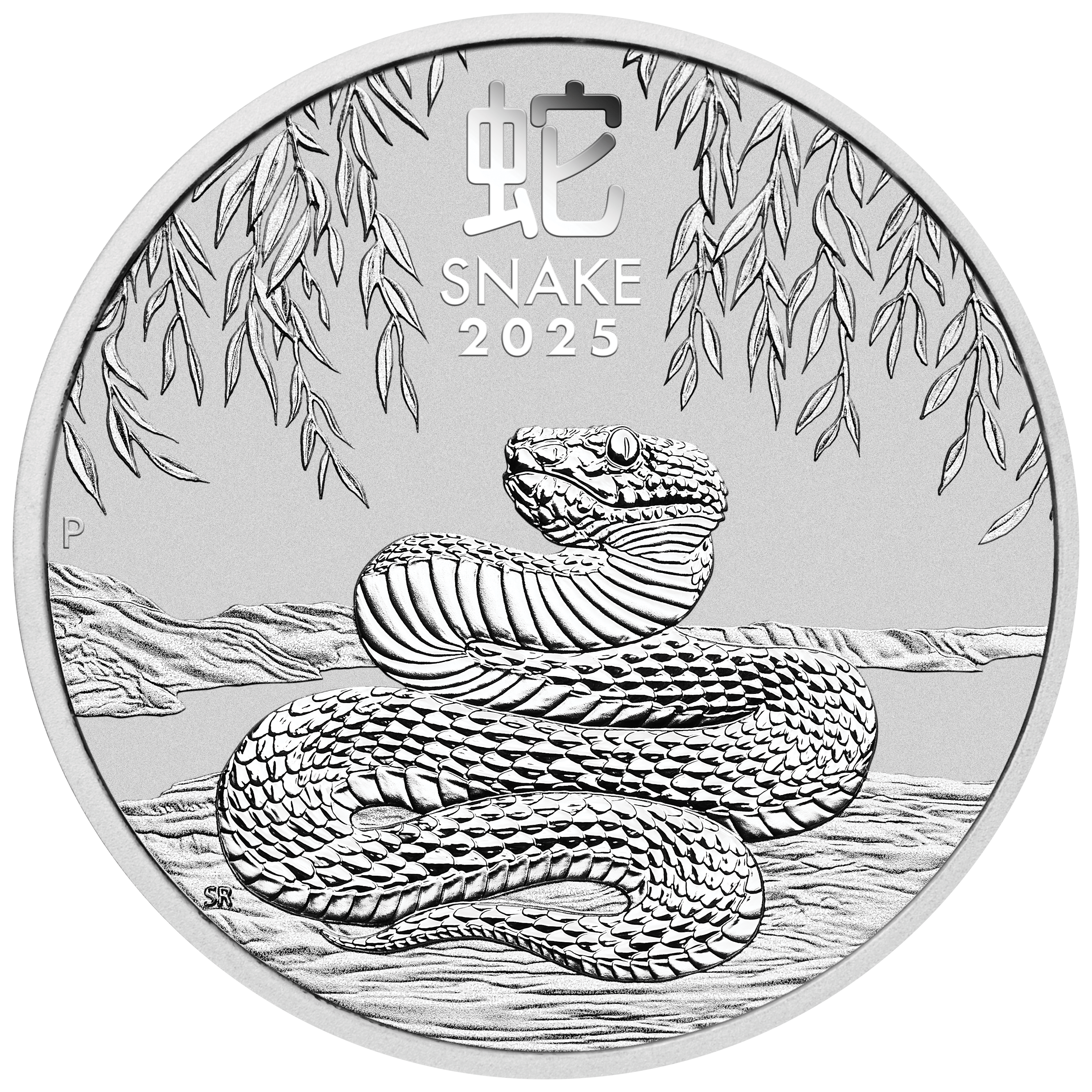 3S2506EAAX 2025-year-of-the-snake-12oz-silver-coin