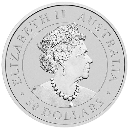 21027aaax 2021-australian-koala-1kg-silver-bullion-coin-1-kilo 1