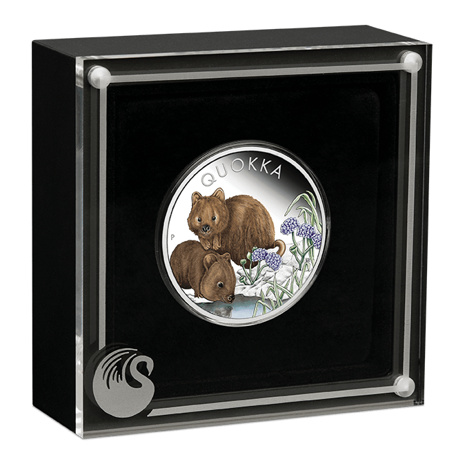 23q63aaa-2023-australian-quokka-1oz-silver-proof-coloured-coin