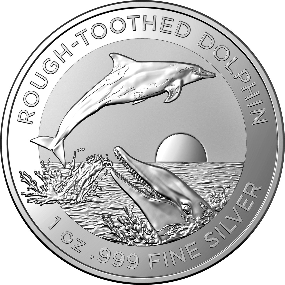 11276-2023-rough-toothed-dolphin-1oz-silver-bullion-coin