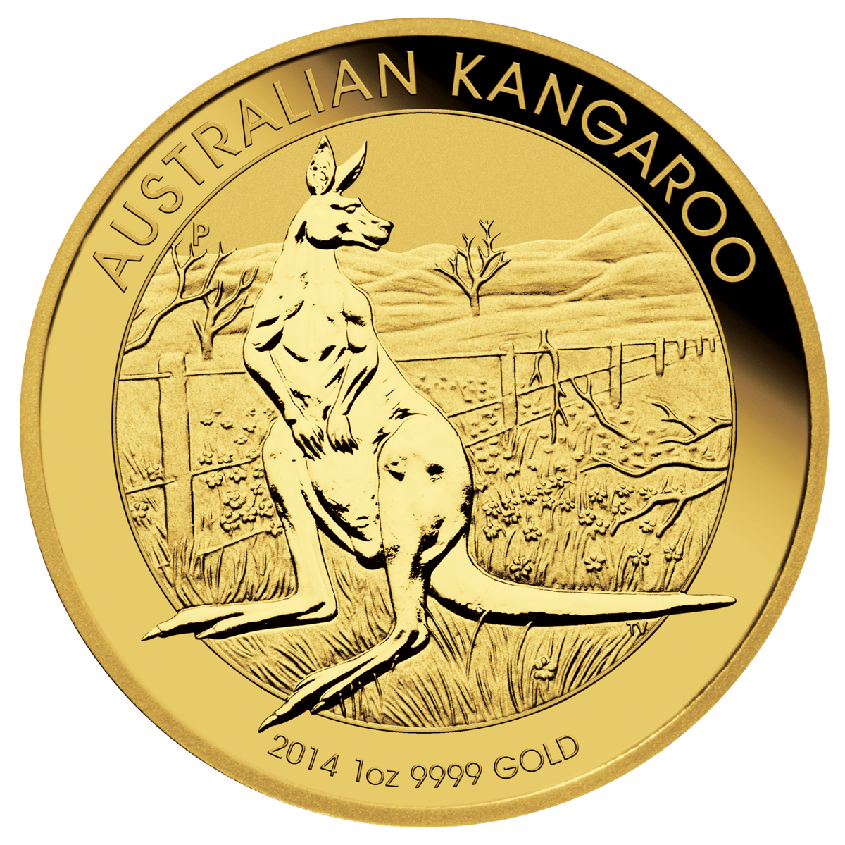 14014daax-2014-australian-kangaroo-1oz-gold-bullion-coin
