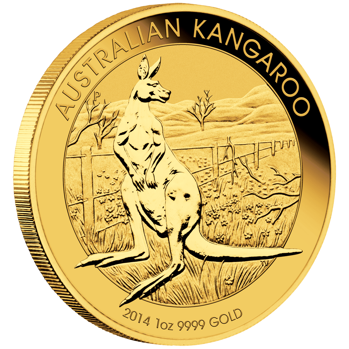 14014daax-2014-australian-kangaroo-1oz-gold-bullion-coin