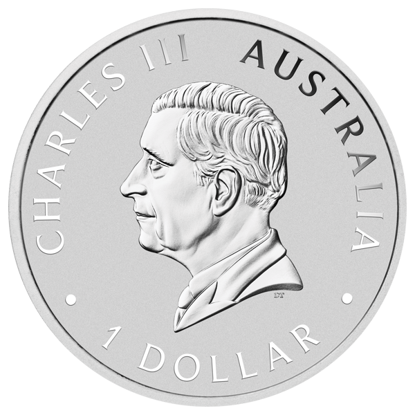 24s20aaa-2024-australian-emu-1oz-coloured-silver-coin
