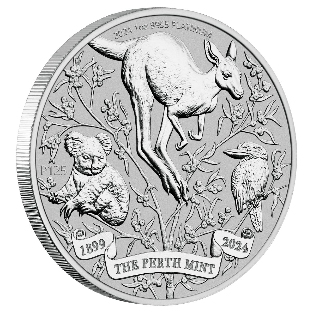 24u47cax-2024-the-perth-mints-125th-anniversary-1oz-platinum-bullion-coin