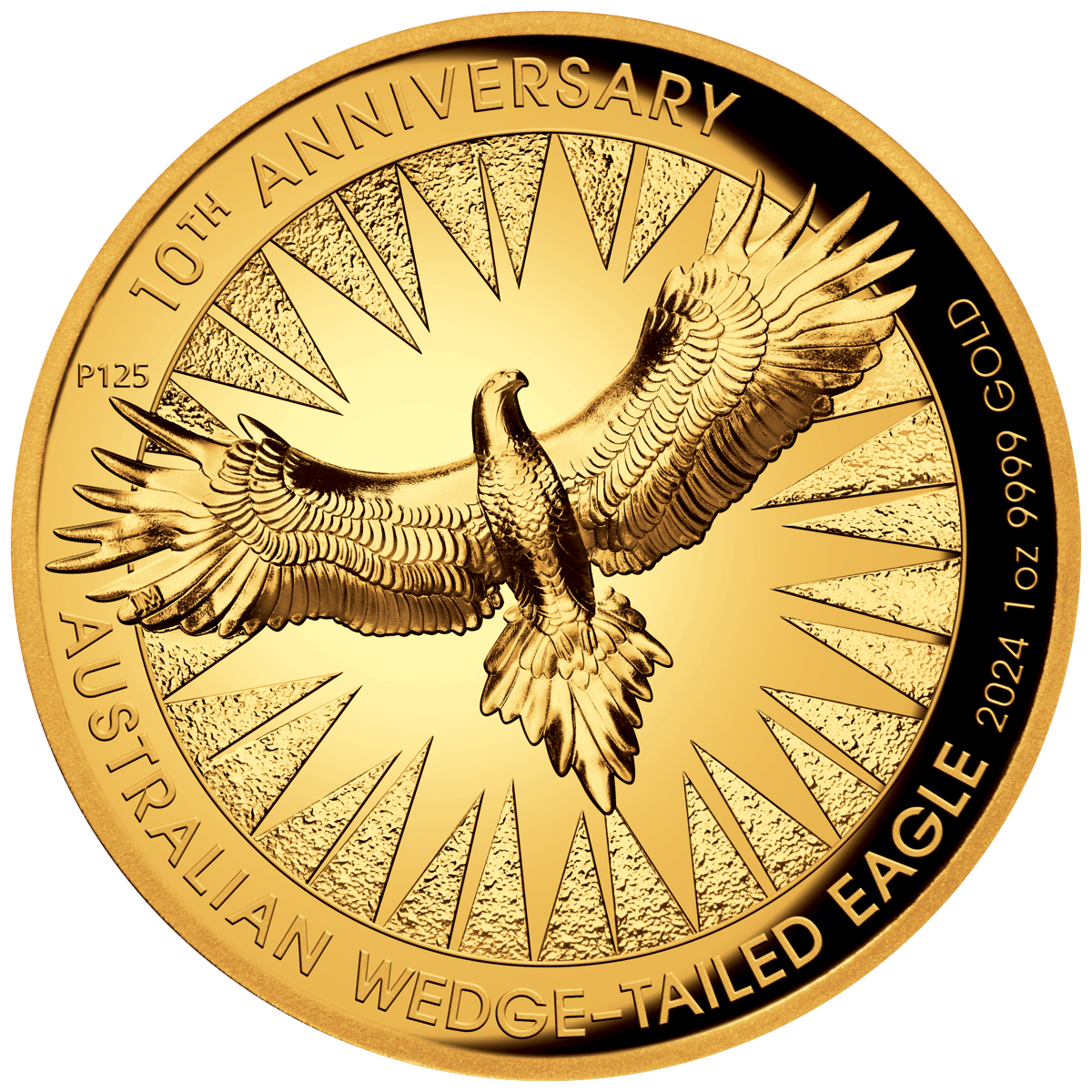 24u48aaa-2024-australian-wedge-tailed-eagle-10th-anniversary-1oz-gold-proof-high-relief-coin