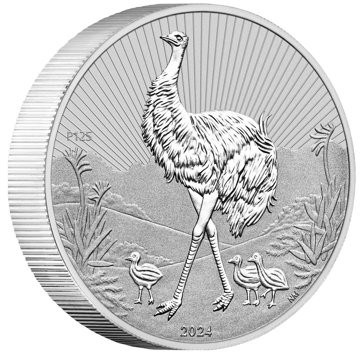 24529cat-2024-next-generation-emu-2oz-silver-coin