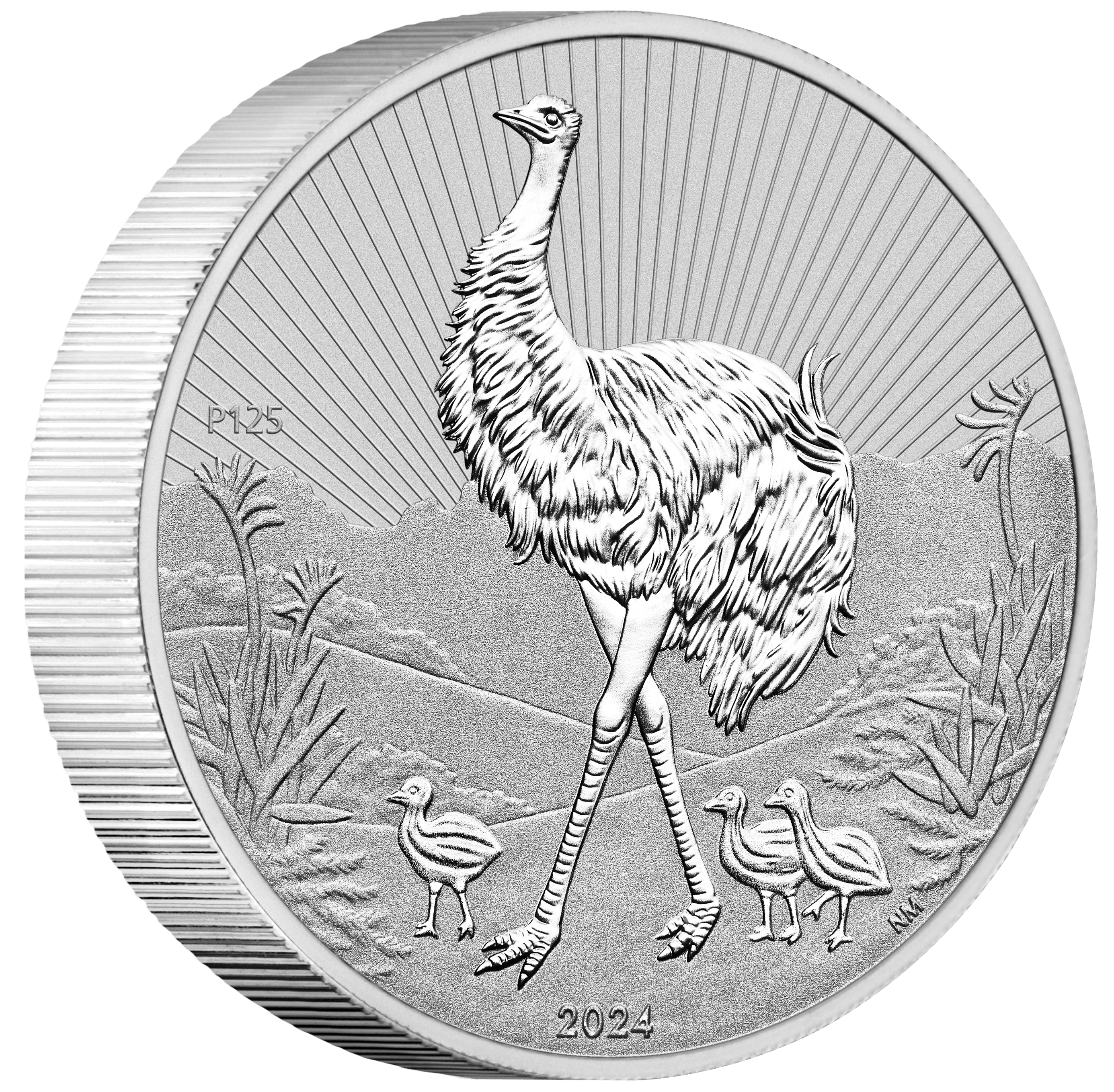 24529cat-2024-next-generation-emu-2oz-silver-coin