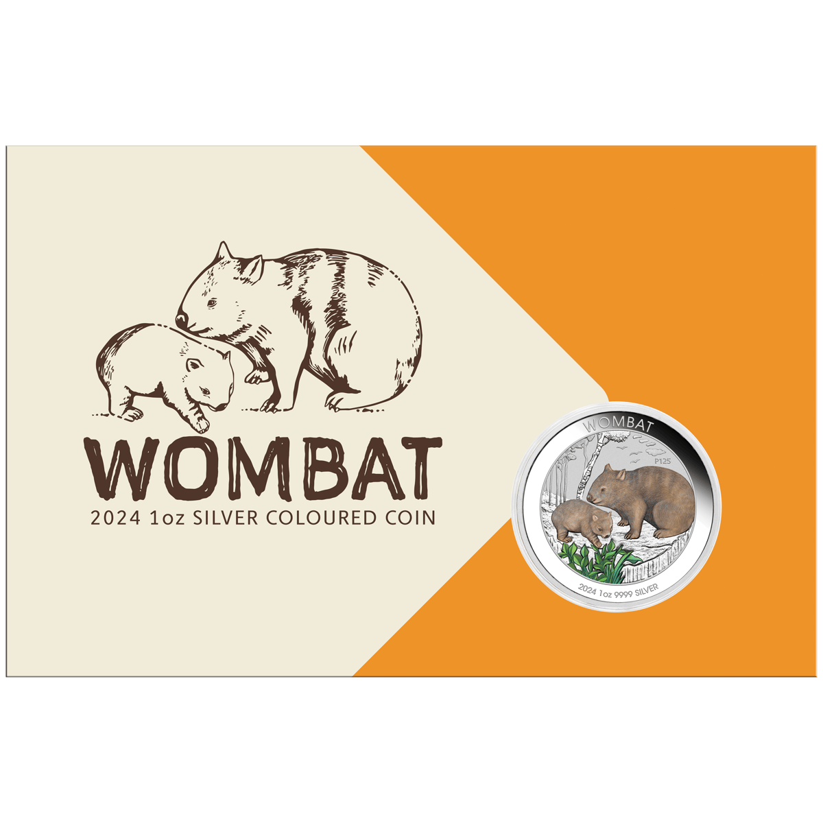 24u43aad-2024-wombat-1oz-coloured-silver-coin