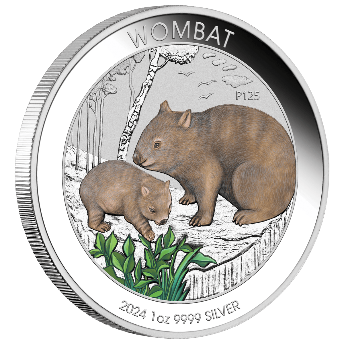 24u43aad-2024-wombat-1oz-coloured-silver-coin