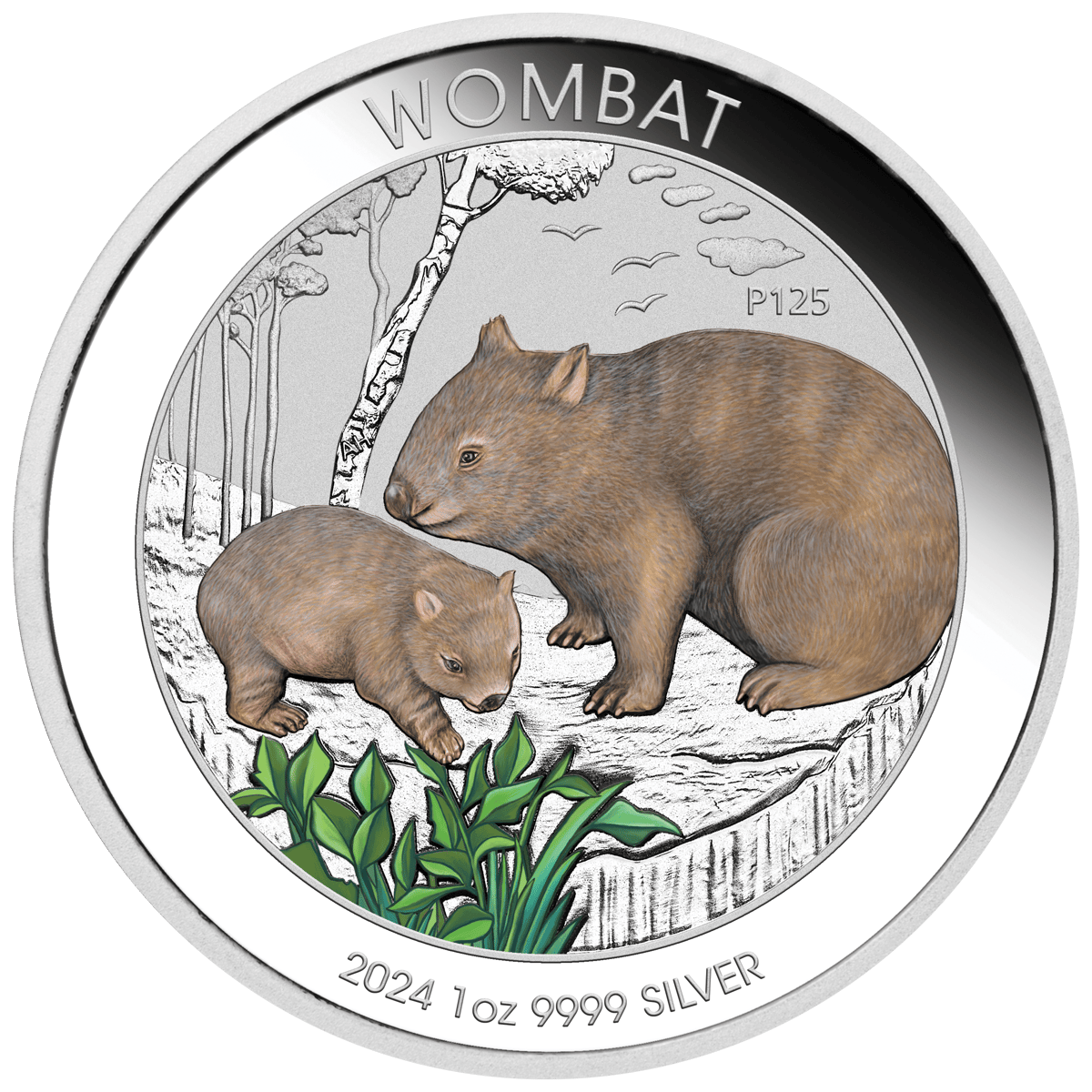 24u43aad-2024-wombat-1oz-coloured-silver-coin