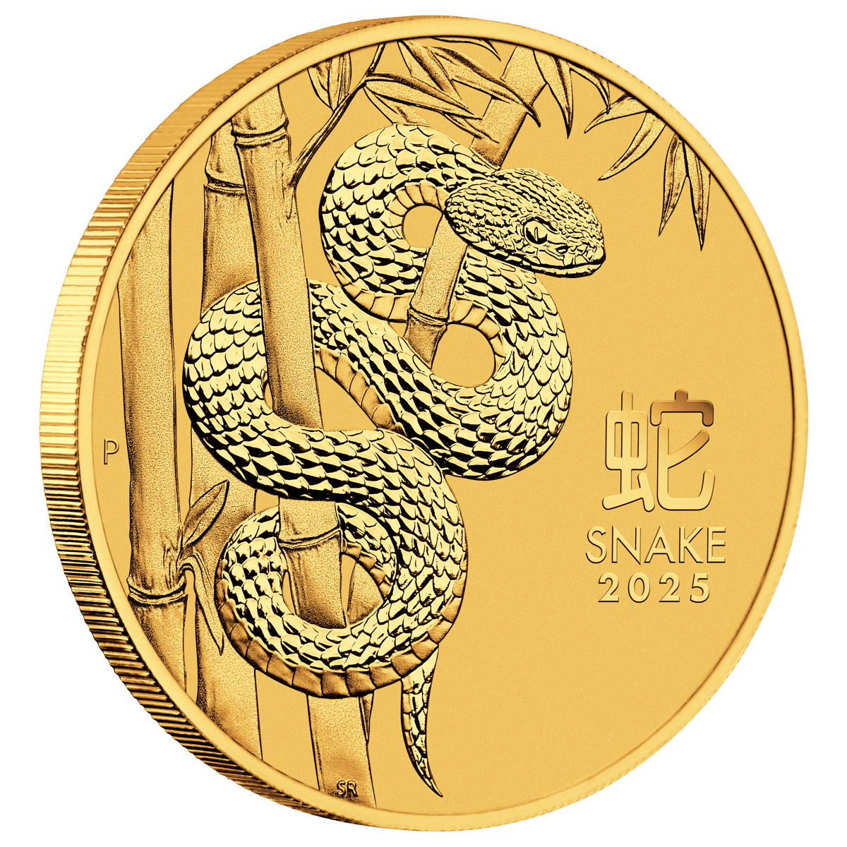3s2505haax-2025-year-of-the-snake-120oz-gold-coin