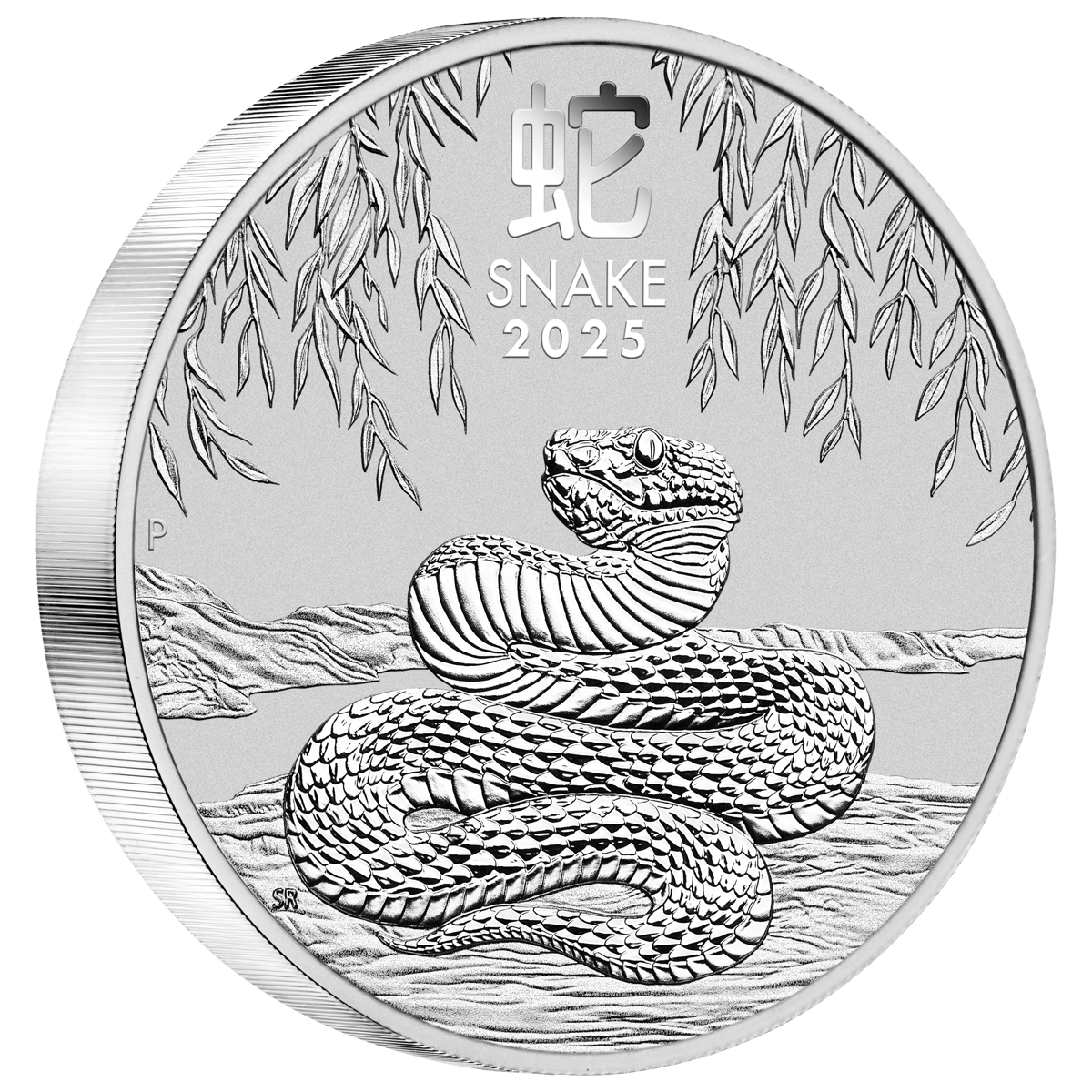 3s2506aaax-2025-year-of-the-snake-1kg-silver-coin
