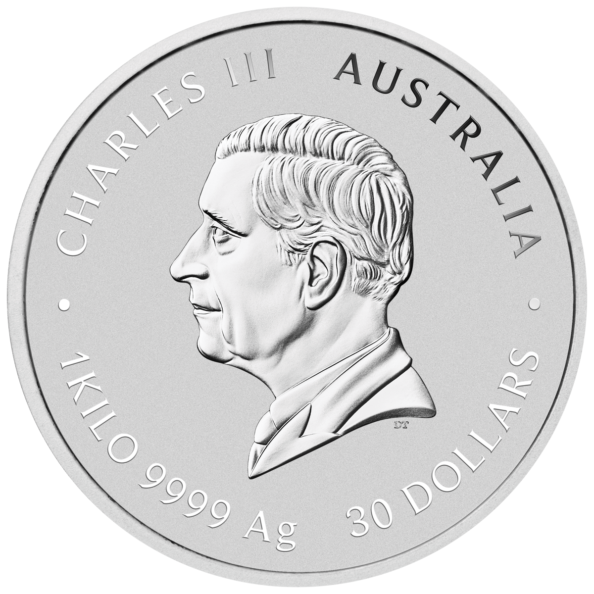 3s2506aaax-2025-year-of-the-snake-1kg-silver-coin