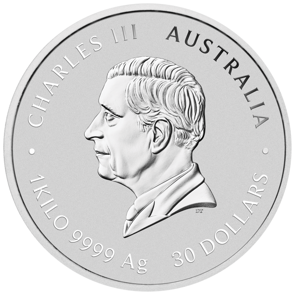 3s2506aaax-2025-year-of-the-snake-1kg-silver-coin