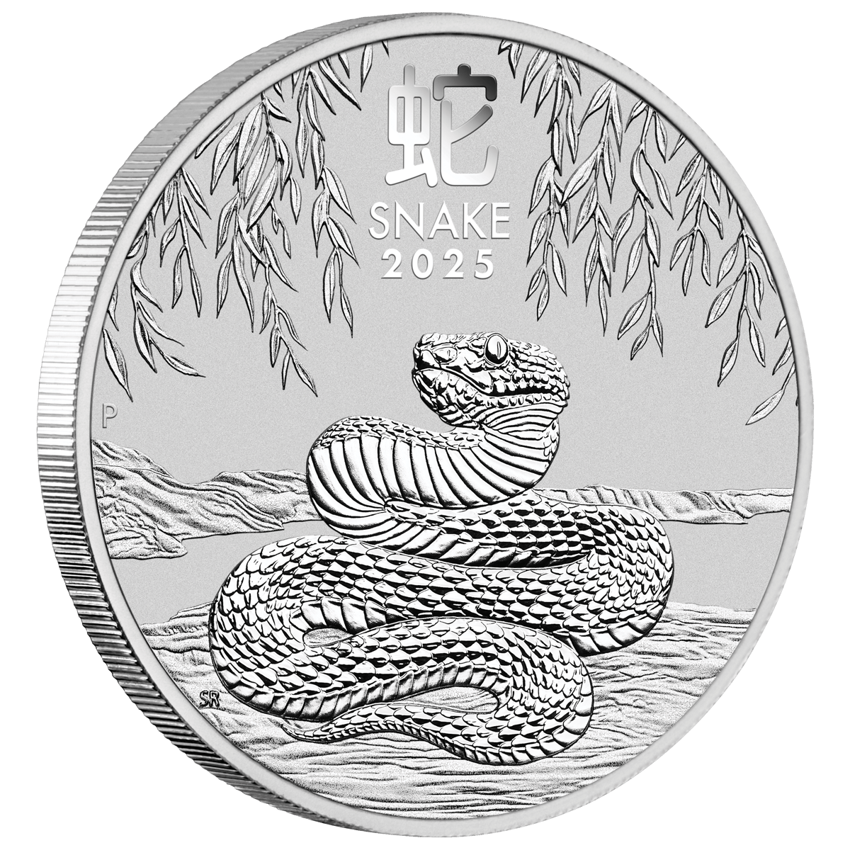 3s2506eaax-2025-year-of-the-snake-12oz-silver-coin