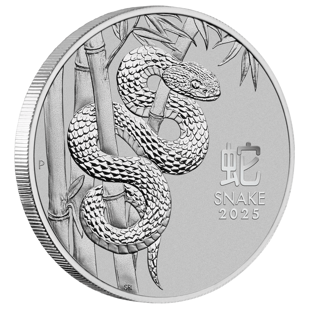 3s2509daax-2025-year-of-the-snake-1oz-platinum-coin