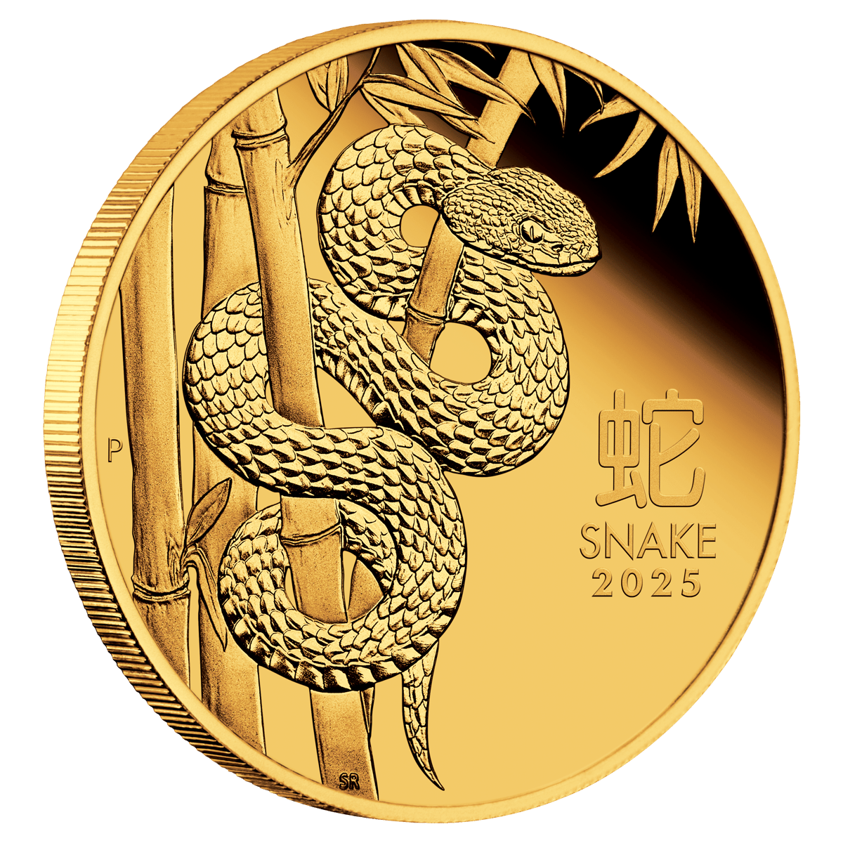3s2515gaaa-2025-year-of-the-snake-110oz-gold-proof-coin