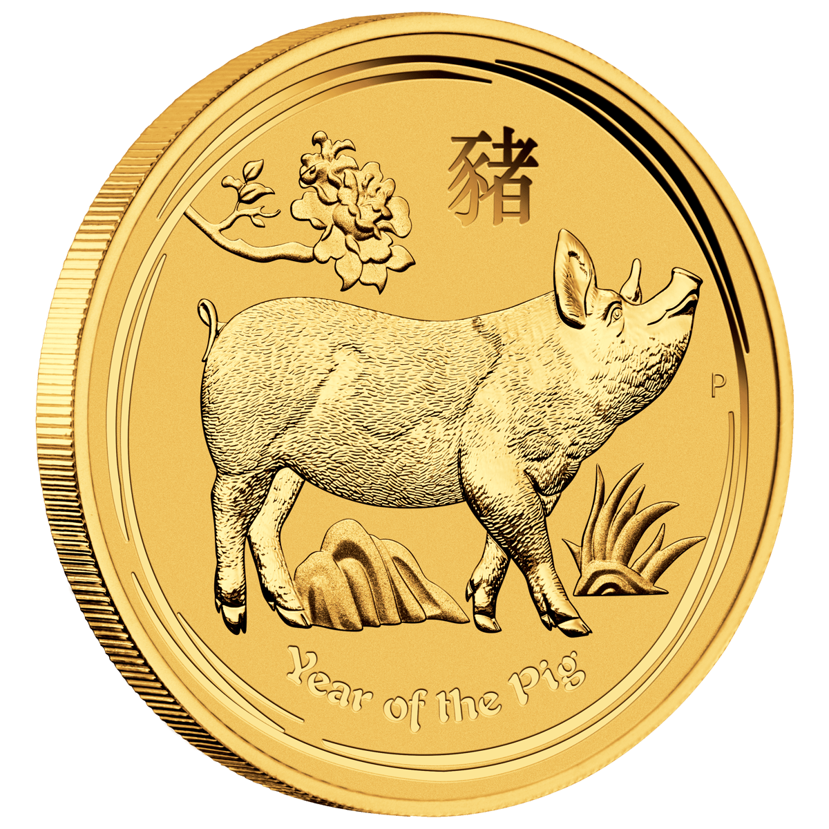 2s1905eaax-2019-year-of-the-pig-12oz-gold-coin