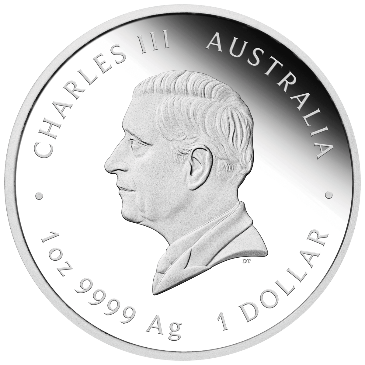 3S2516DDAA-2025-year-of-the-snake-1oz-coloured-silver-proof-coin