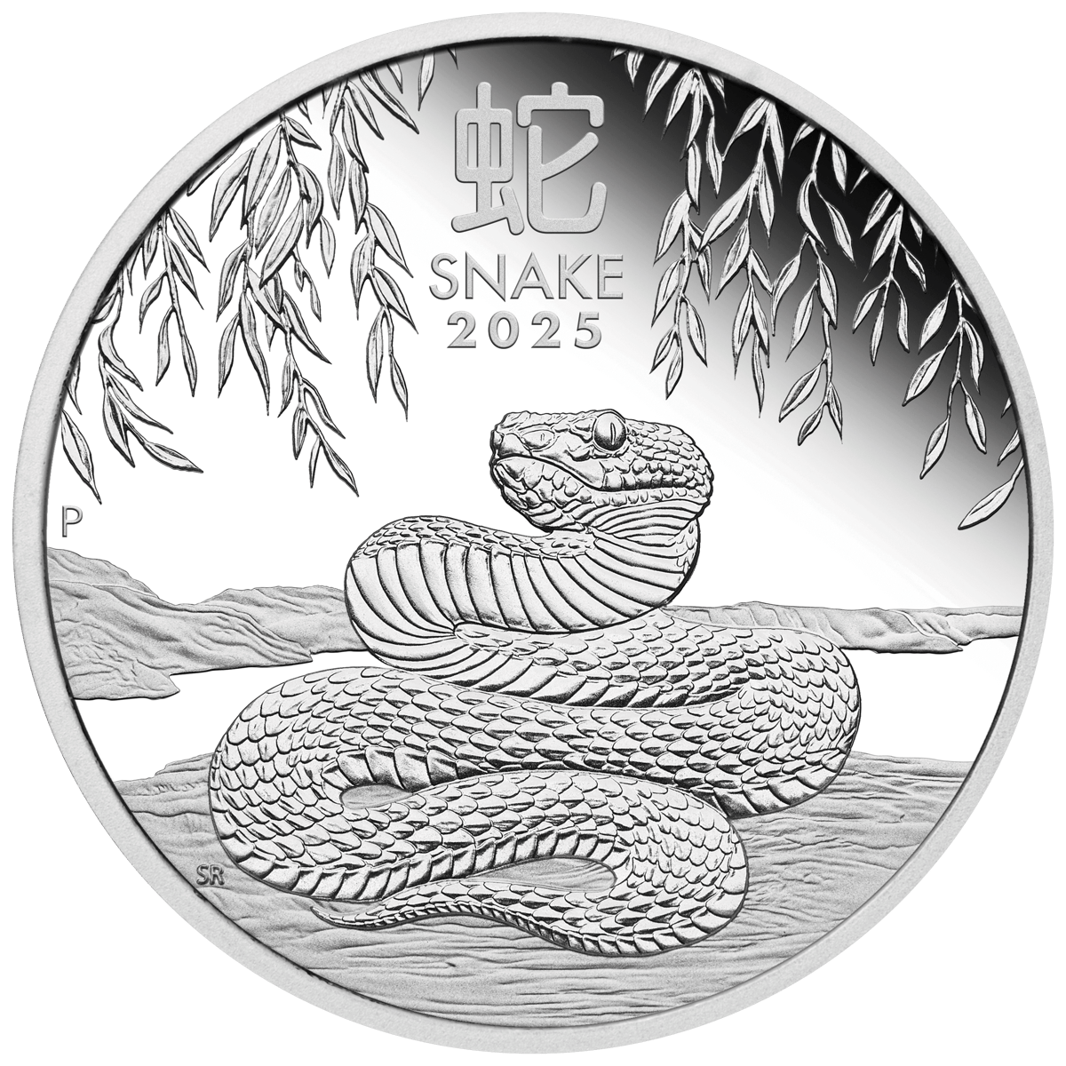 3s2516eaaa-2025-year-of-the-snake-12oz-silver-proof-coin