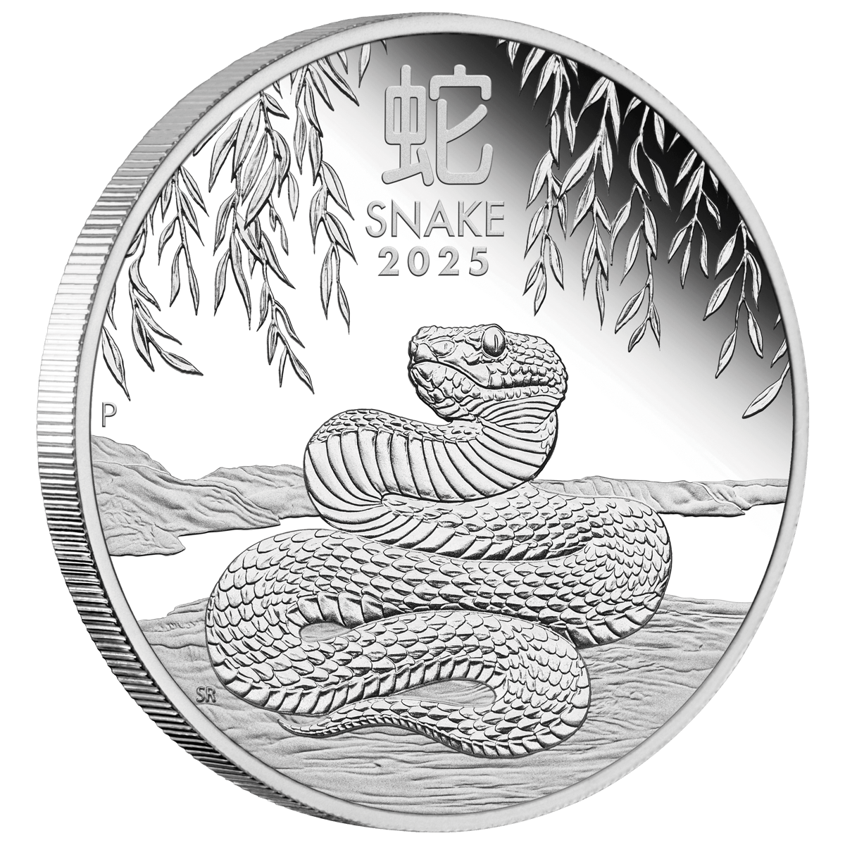 3s2516eaaa-2025-year-of-the-snake-12oz-silver-proof-coin