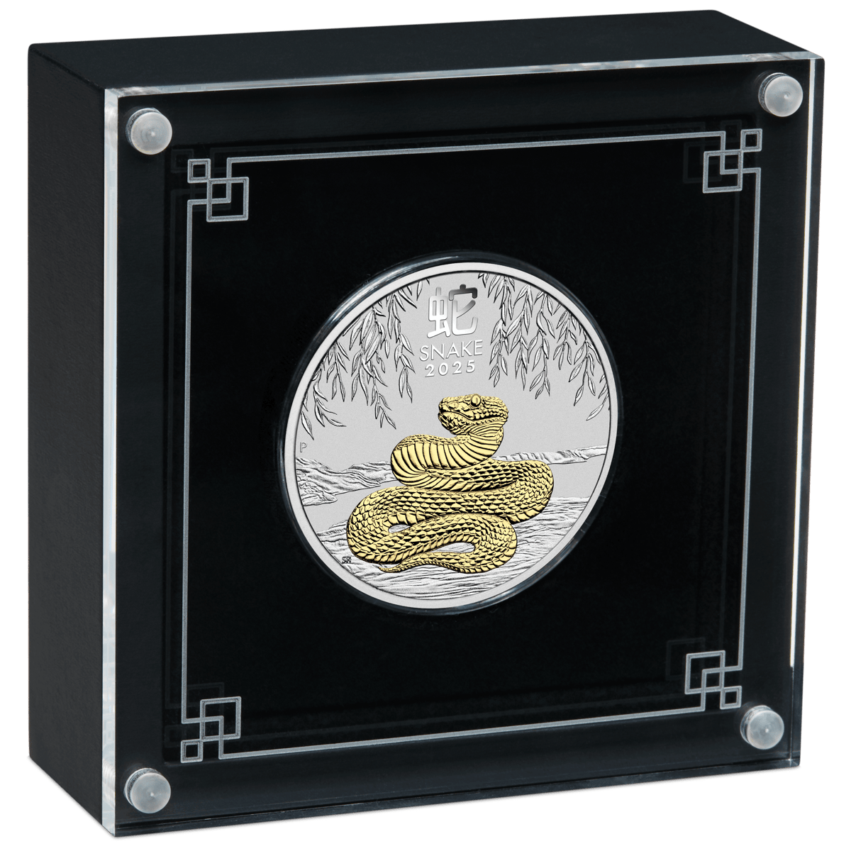 Open-3s2506dcaa-2025-year-of-the-snake-1oz-gilded-silver-coin